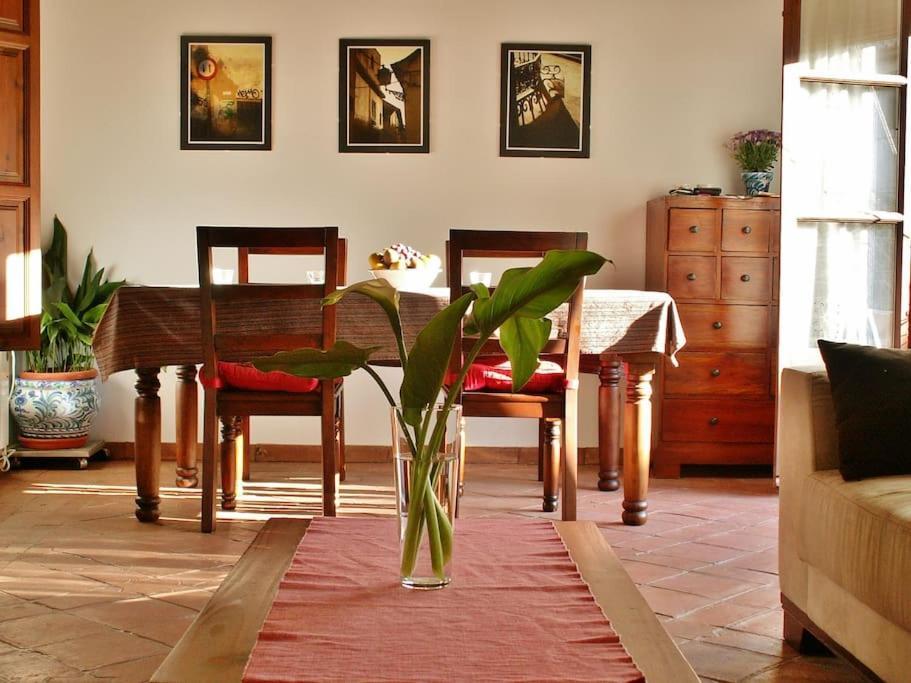 Apartamento Oasis Granada Eksteriør bilde